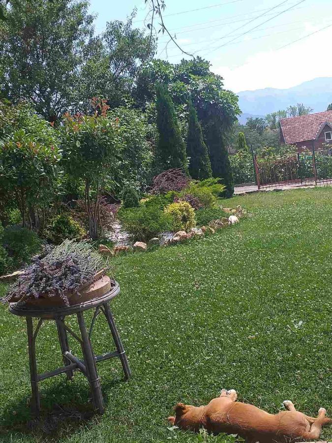 Villa Silva Ohrid Ngoại thất bức ảnh