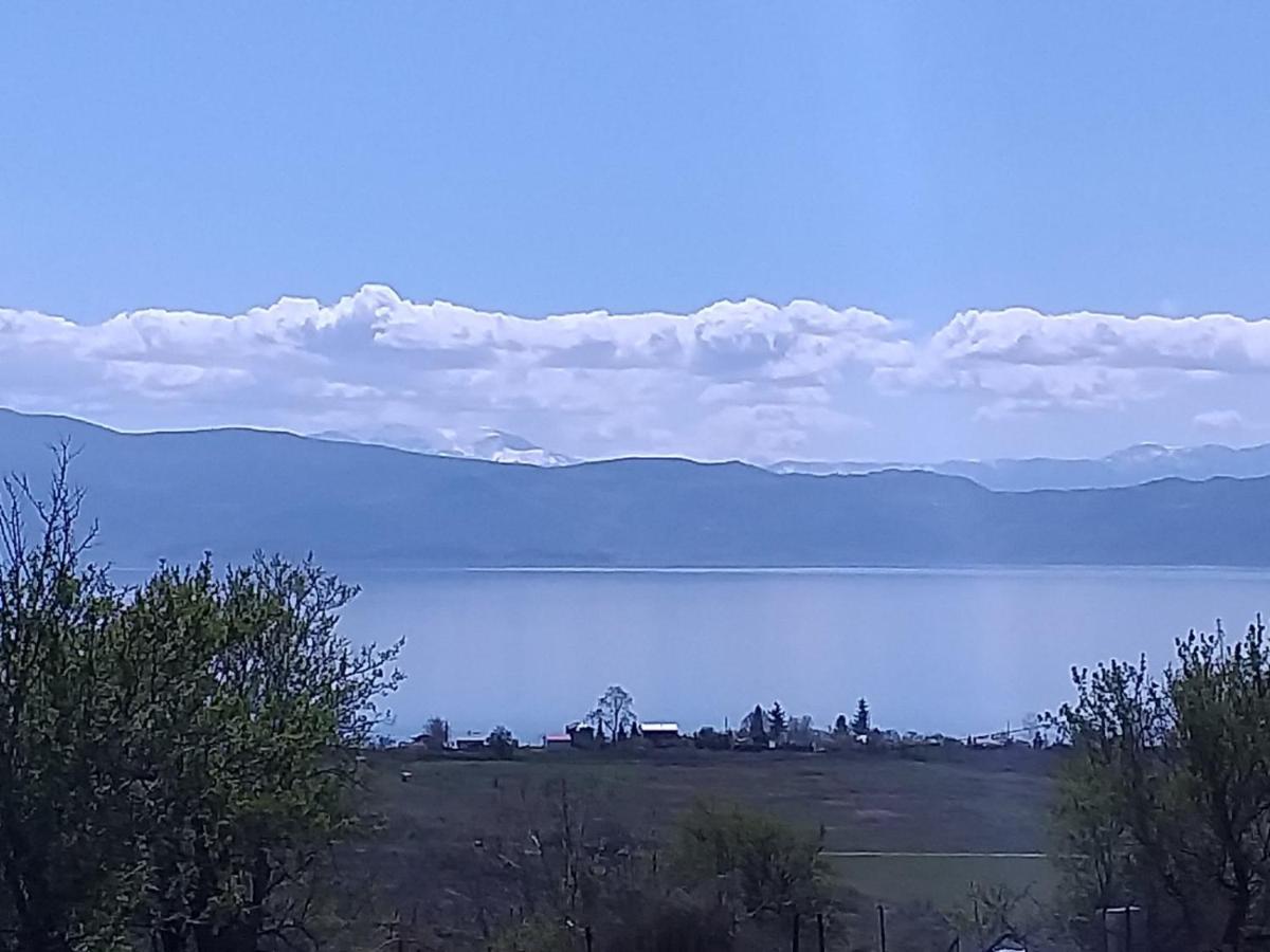 Villa Silva Ohrid Ngoại thất bức ảnh