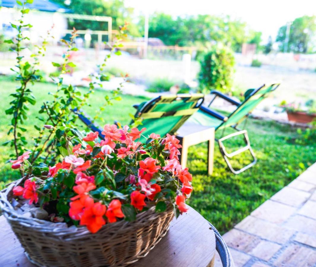 Villa Silva Ohrid Ngoại thất bức ảnh