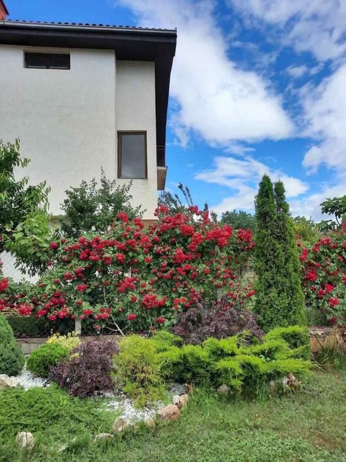 Villa Silva Ohrid Ngoại thất bức ảnh