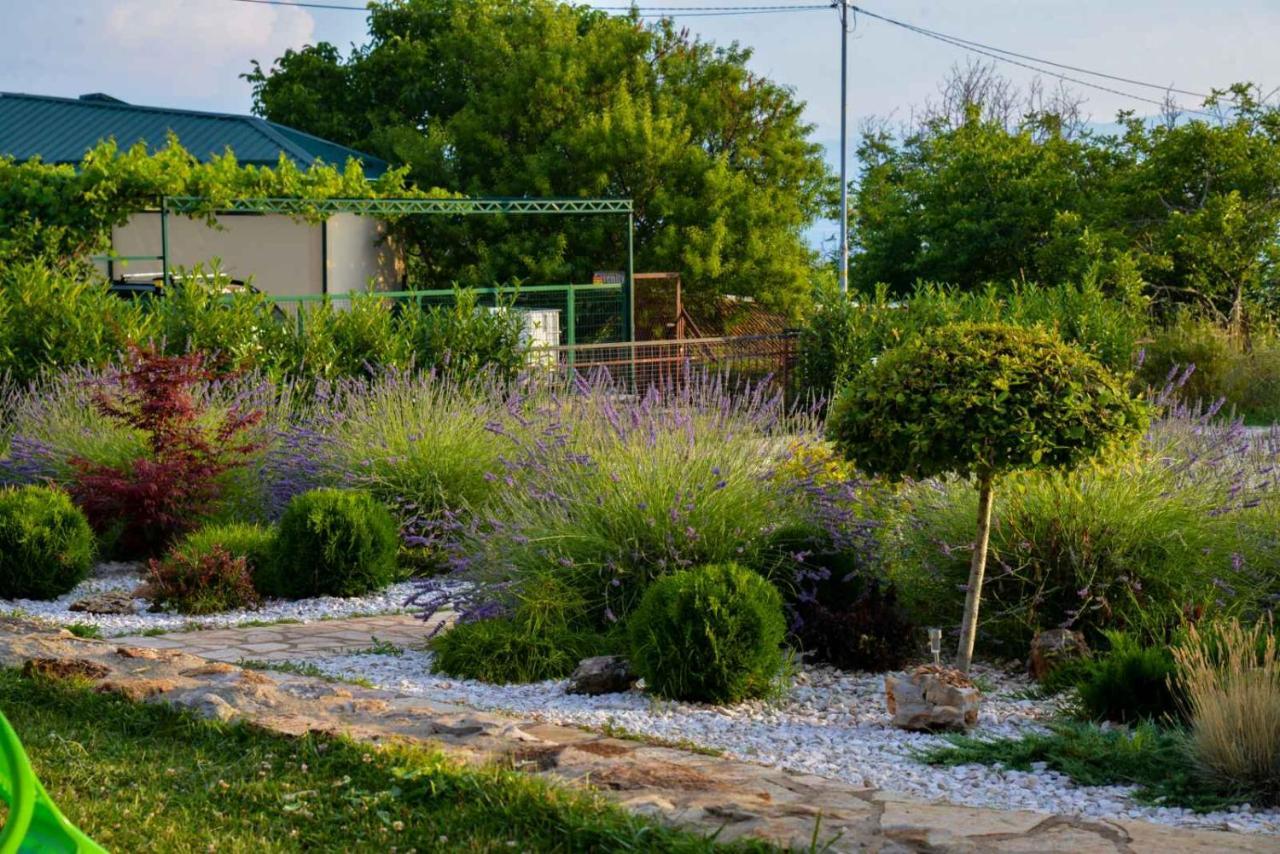Villa Silva Ohrid Ngoại thất bức ảnh