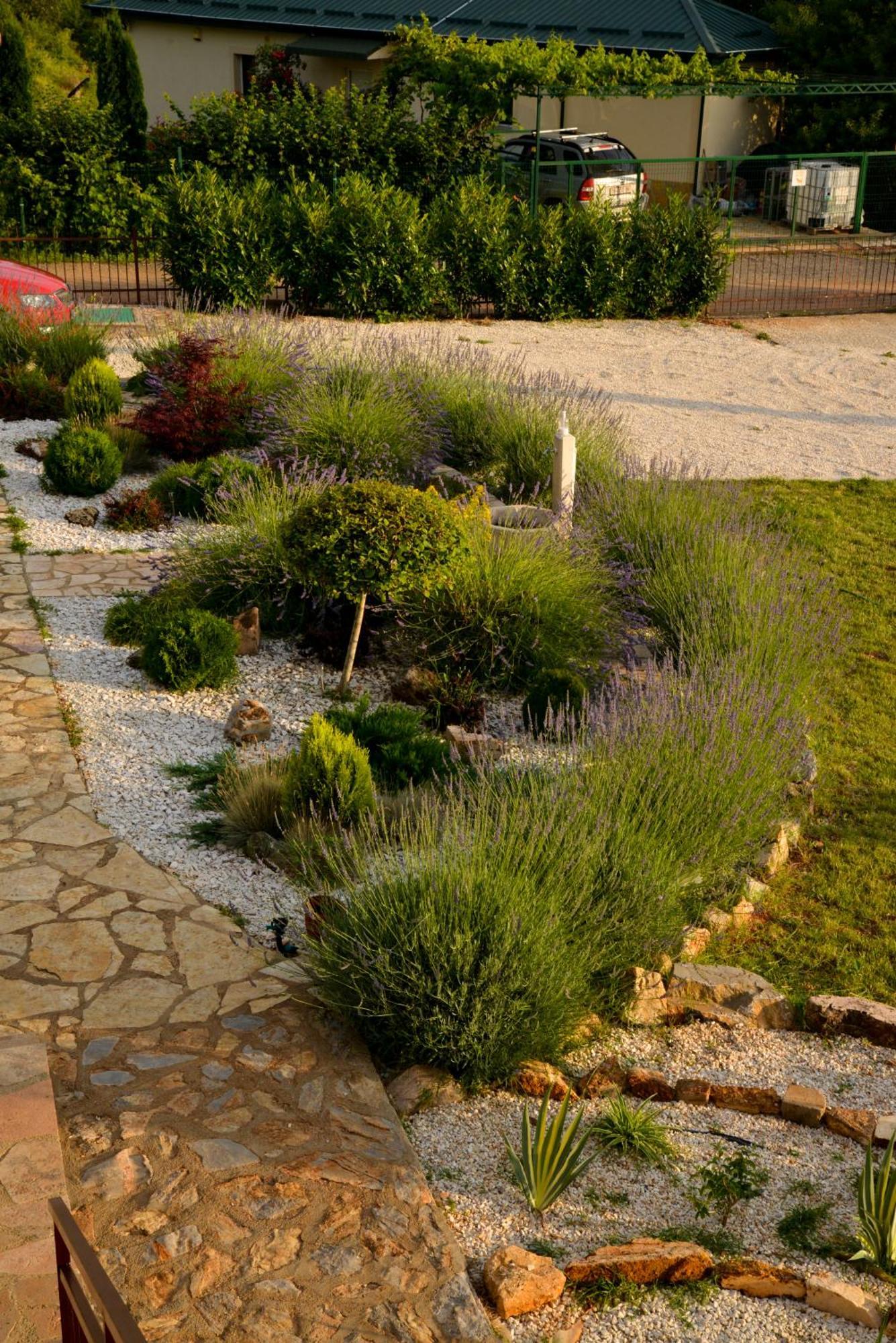 Villa Silva Ohrid Ngoại thất bức ảnh