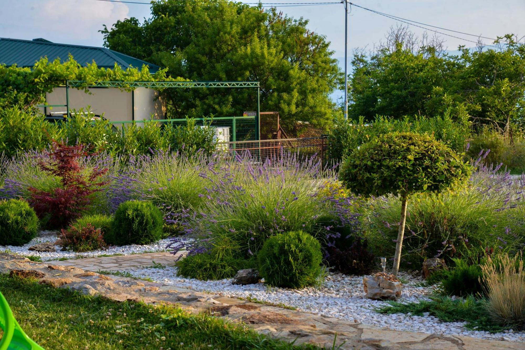 Villa Silva Ohrid Ngoại thất bức ảnh