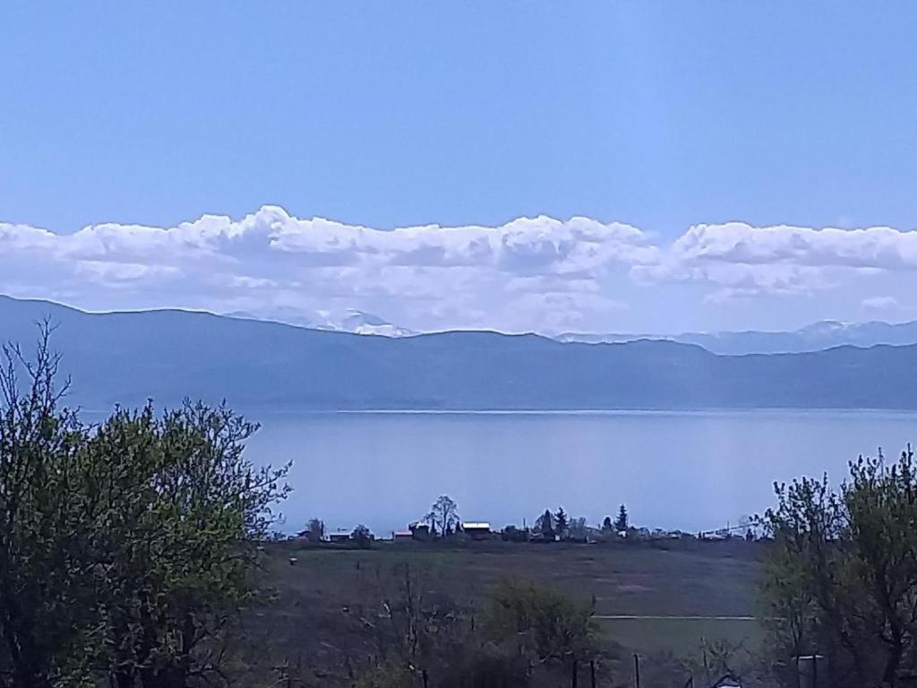 Villa Silva Ohrid Ngoại thất bức ảnh